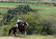 Mexico-Oaxaca-Oaxaca Explorer Ride